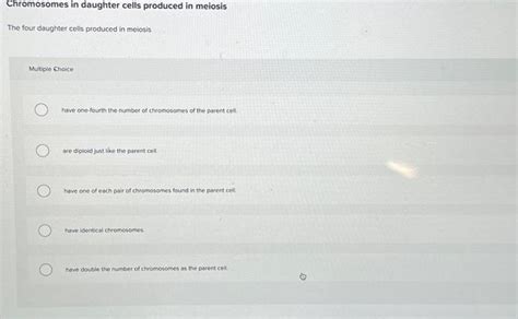 Solved Chromosomes in daughter cells produced in meiosis The | Chegg.com