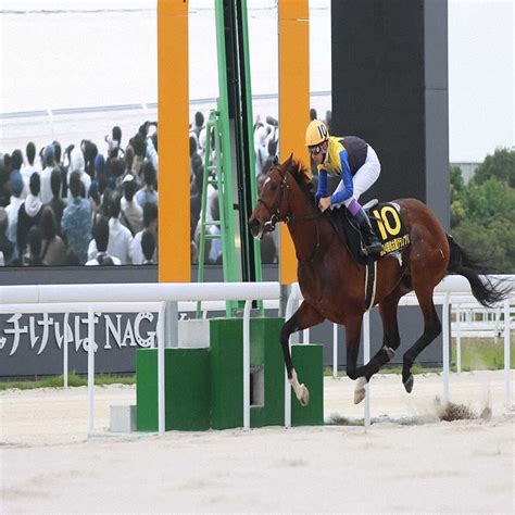 【名古屋グランプリ】「凄く馬が充実」圧勝ノットゥルノの武豊「気分良く走っていた」 2024年5月6日掲載 ライブドアニュース