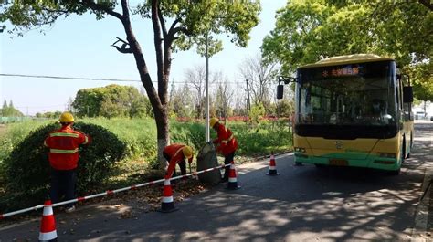 四好农村路铺就村民幸福路，看青浦经验在这里~