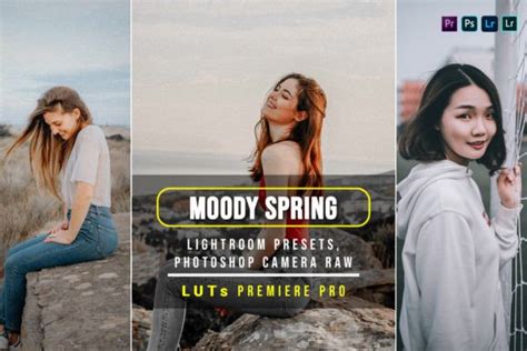 Moody Spring Presets And Luts Graphic By Zhidayat Creative Fabrica