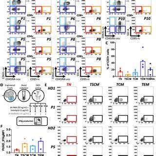 Immunophenotypic And Functional Validation For The Identification Of