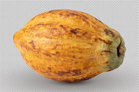 Frutos Maduros De Cacao Aislado Sobre Fondo Blanco Archivo PSD Premium