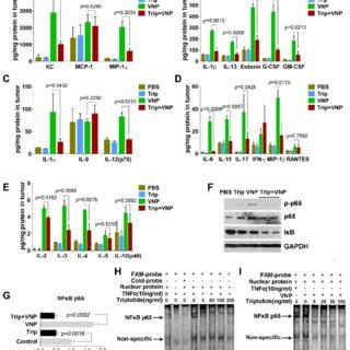 Triptolide Inhibits The Production Of Cytokines And Chemokines By