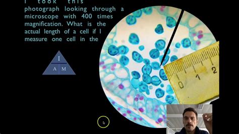 How To Quickly Calculate Cells Size And Magnification YouTube