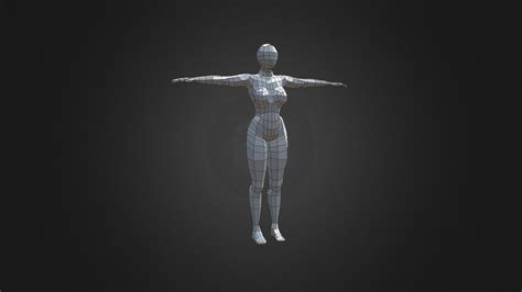 Female Anatomy A 3d Model Collection By Major Warzone Sketchfab