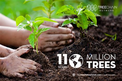 International Planting Day — Planting 110 Million Trees In 11 Hour By