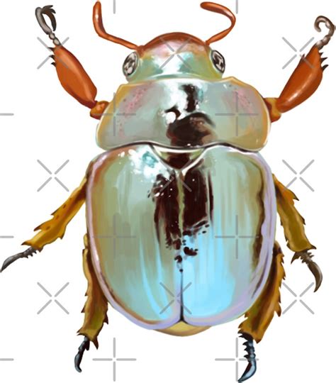 "Rainbow Jewel Scarab Beetle" Stickers by seasofstars | Redbubble