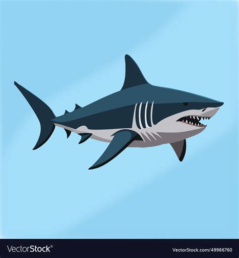 Great white shark Royalty Free Vector Image - VectorStock