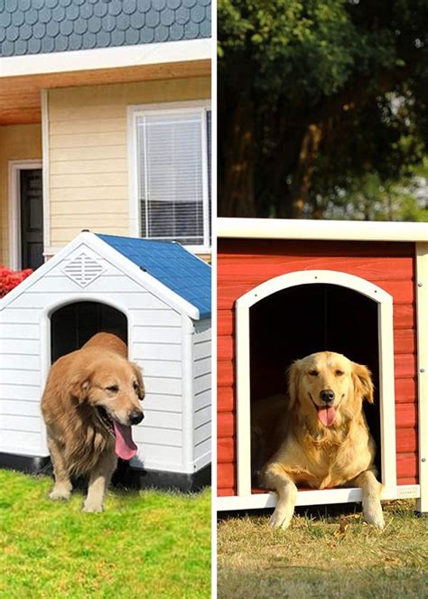 The 5 Most Pawesome Outdoor Dog Houses For Your Furry Friend!