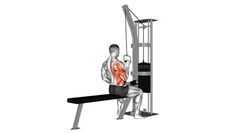 Cable One Arm Lat Pulldown Ultimate Guide Tips