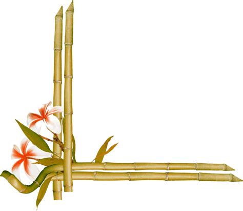 Bamboo Border Frame Transparent Clip Art