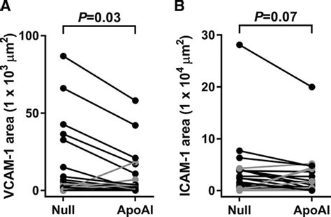 Apo A I Apolipoprotein A I Vascular Gene Therapy Provides Durable