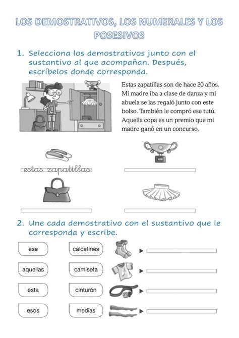 Demostrativos Posesivos Y Numerales Worksheet Pronombre Posesivo