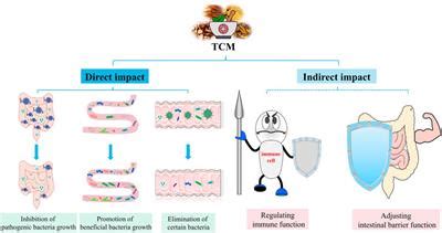 Frontiers Traditional Chinese Medicine A Promising Strategy To