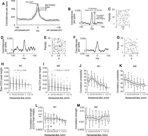 Distance Dependence Of Spike Correlation Correlation Probability And