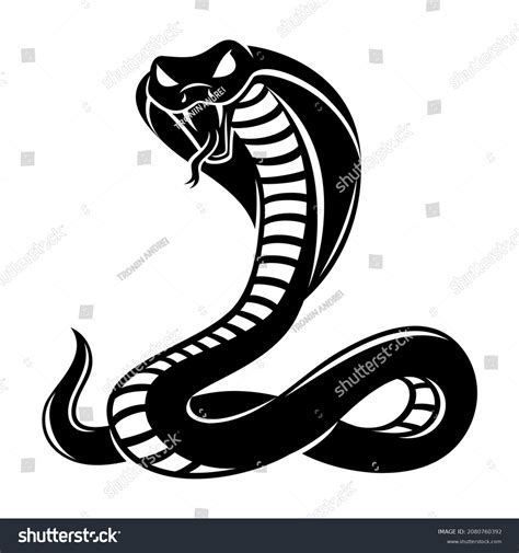 Illustration Angry Cobra Icon On White Stock Vector (Royalty Free ...