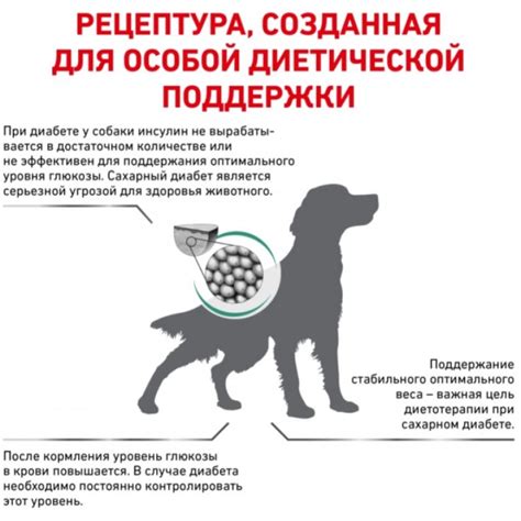Royal Canin Diabetic - сухой полнорационный диетический корм для ...