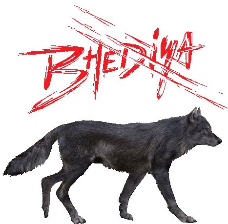 Bhediya Wolf Sticker - Bhediya Wolf Varun Dhawan - Discover & Share GIFs