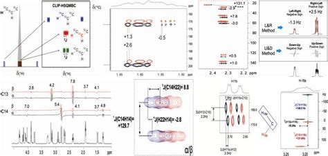 Phd Thesis Modern Nmr Methodologies For The Measurement Of Homo And