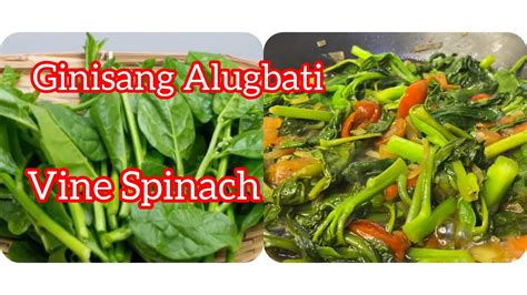 SAUTED SPINACH Ginisang Alugbati Indian Vine SPINACH YouTube