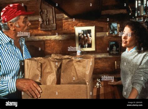 ERNEST BORGNINE, BELINDA BAUER, AIRWOLF, 1984 Stock Photo - Alamy