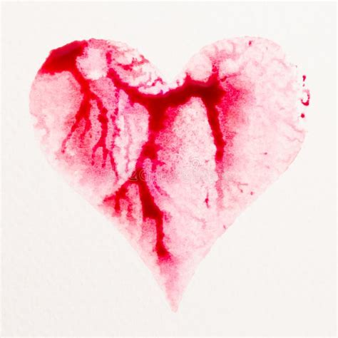 Watercolor Painted Pink Heart On The White Watercolor Paper Stock