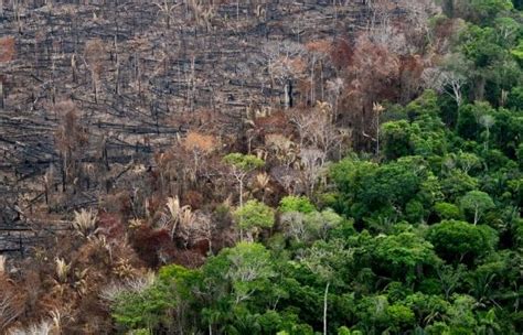 Juxtapoz Magazine Daniel Beltrá s Devastating Photographs of Amazon