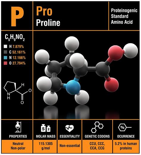 Proline Amino Acid Molecule By Carlos Clarivan Science Photo Library