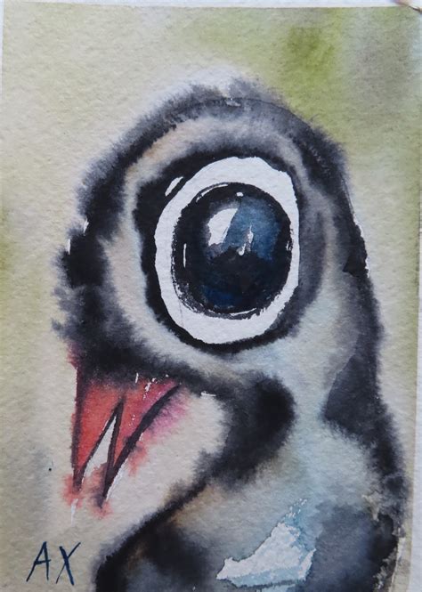 Suprise Bird Aquarelle By Ax Axart Birds Nature And Art