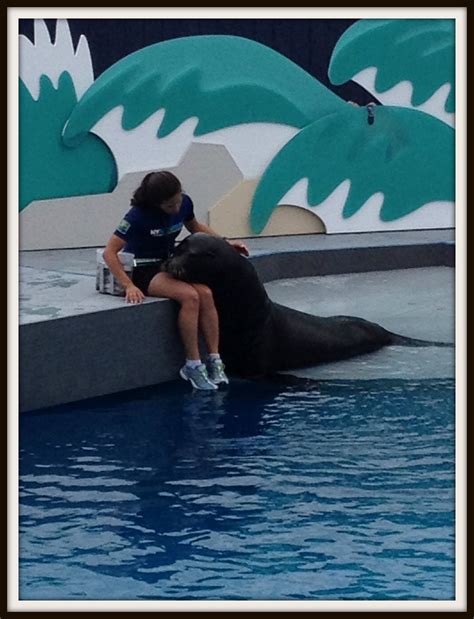 Official guides explain the new york aquarium conservation 3