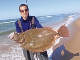 Peixe Linguado Caracter Sticas Habitat Peso E Altura Animais