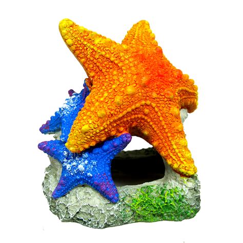 Marina Sea Star Duo – Bay Bridge Aquarium