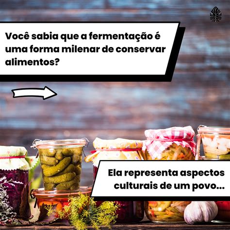 Fermentação de alimentos, você sabe o que é?