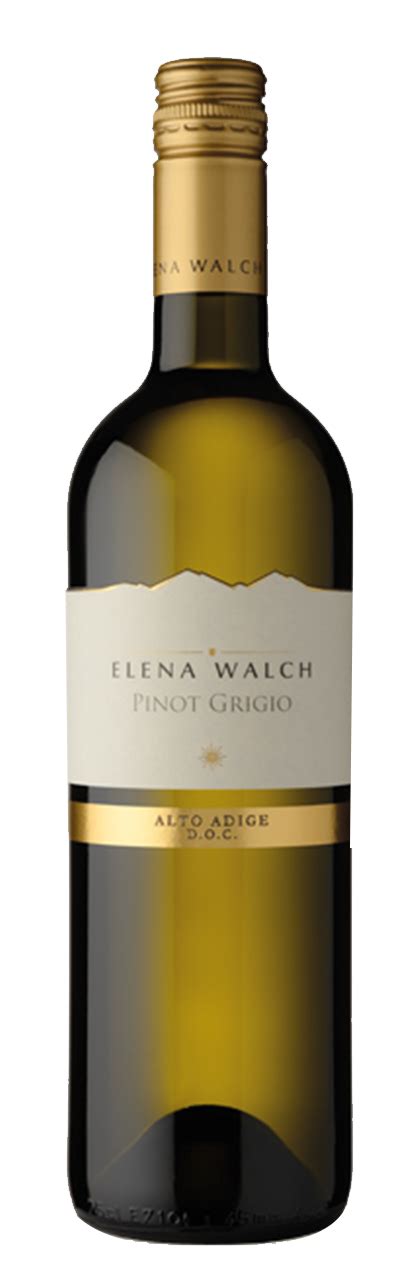 Pinot Grigio Elena Walch 2023 I Meraner Weinhaus