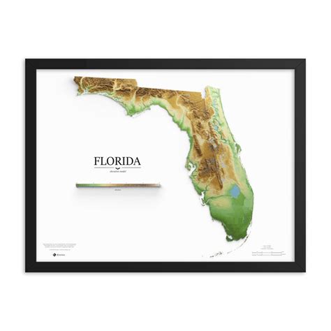 Florida Elevation Map Poster - Etsy