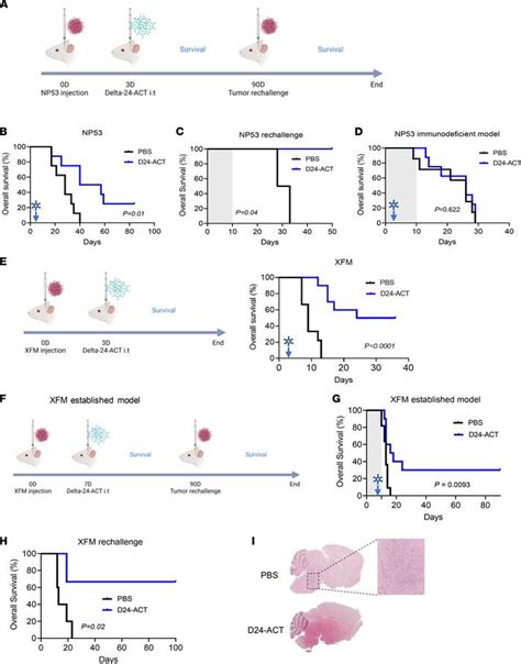 JCI Insight Exploiting 4 1BB Immune Checkpoint To Enhance The