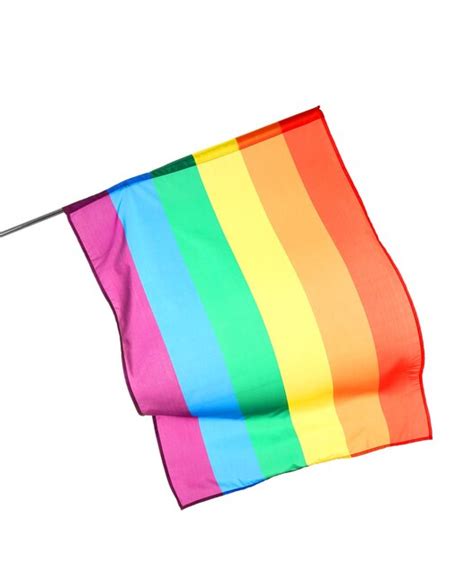 Rainbow Bandera Gay Sobre Fondo Blanco Foto Premium