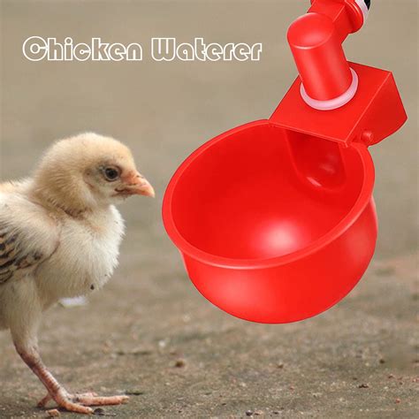 Hesroicy Automatic Easy Install Chicken Waterer Plastic Practical Food