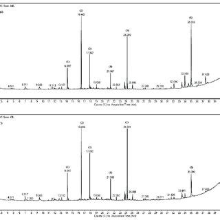 Gc Ms Chromatogram Of Major Volatile Metabolites Present In Giant