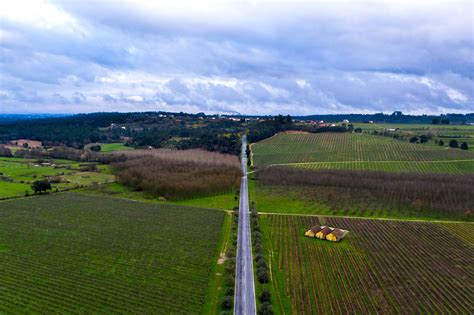 Pa O Dos Cunhas Casa De Santar Vinhos In Santar Boek Je Bezoek