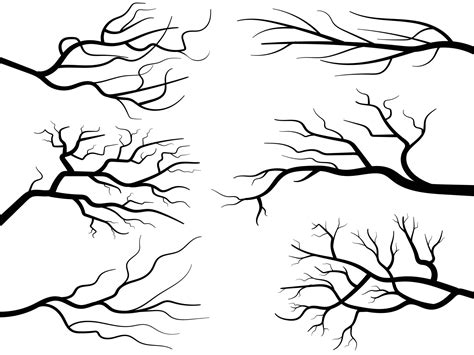 Black Branch Tree Or Naked Trees Silhouettes Set Hand Drawn Isolated Illustrations 23633601