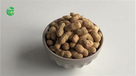 Peanut Shell Extract Youtube