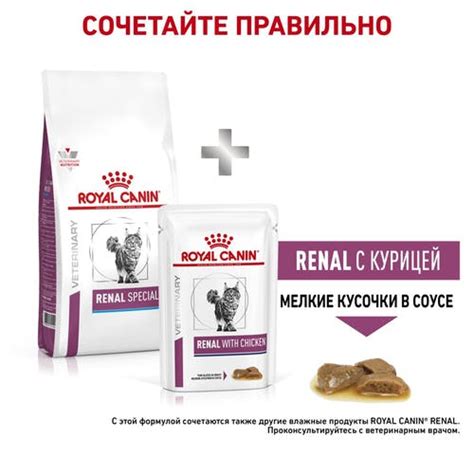 ROYAL CANIN RENAL Special Feline (400 г) купить - ZooExpress - только ...