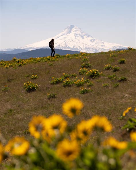 Nine Stunning Spring Hikes In Washington State Jess Wandering