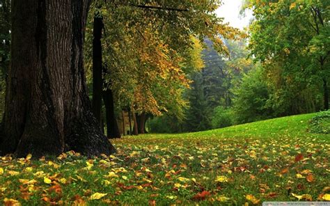 nhung hinh anh thien nhien dep lang man va tho mong nhat the gioi Thư viện Ảnh đẹp hot nhất