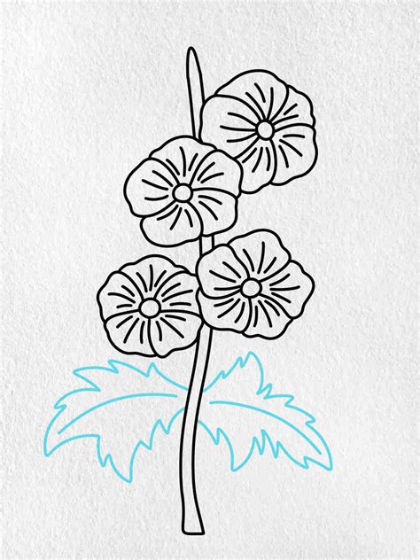How to Draw Hollyhocks - HelloArtsy