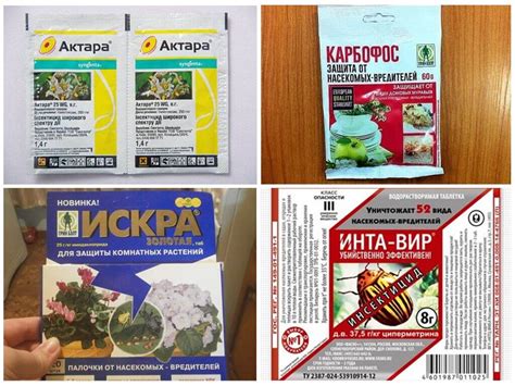 Средство Актара от тли – применение