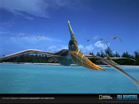 Pteranodon Pictures & Facts - The Dinosaur Database