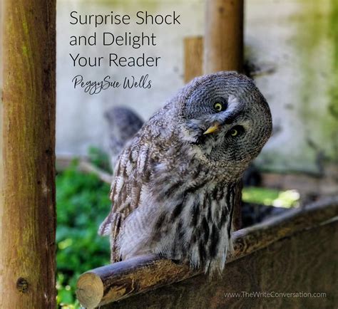 The Write Conversation: Surprise Shock and Delight Your Reader