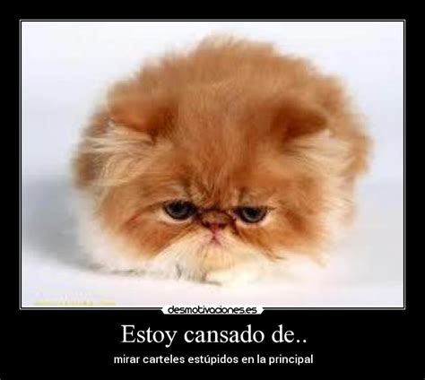 Imágenes y Carteles de VAGINA Pag 10 Desmotivaciones